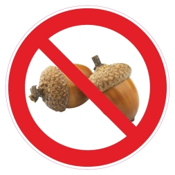 Geen eikels sticker